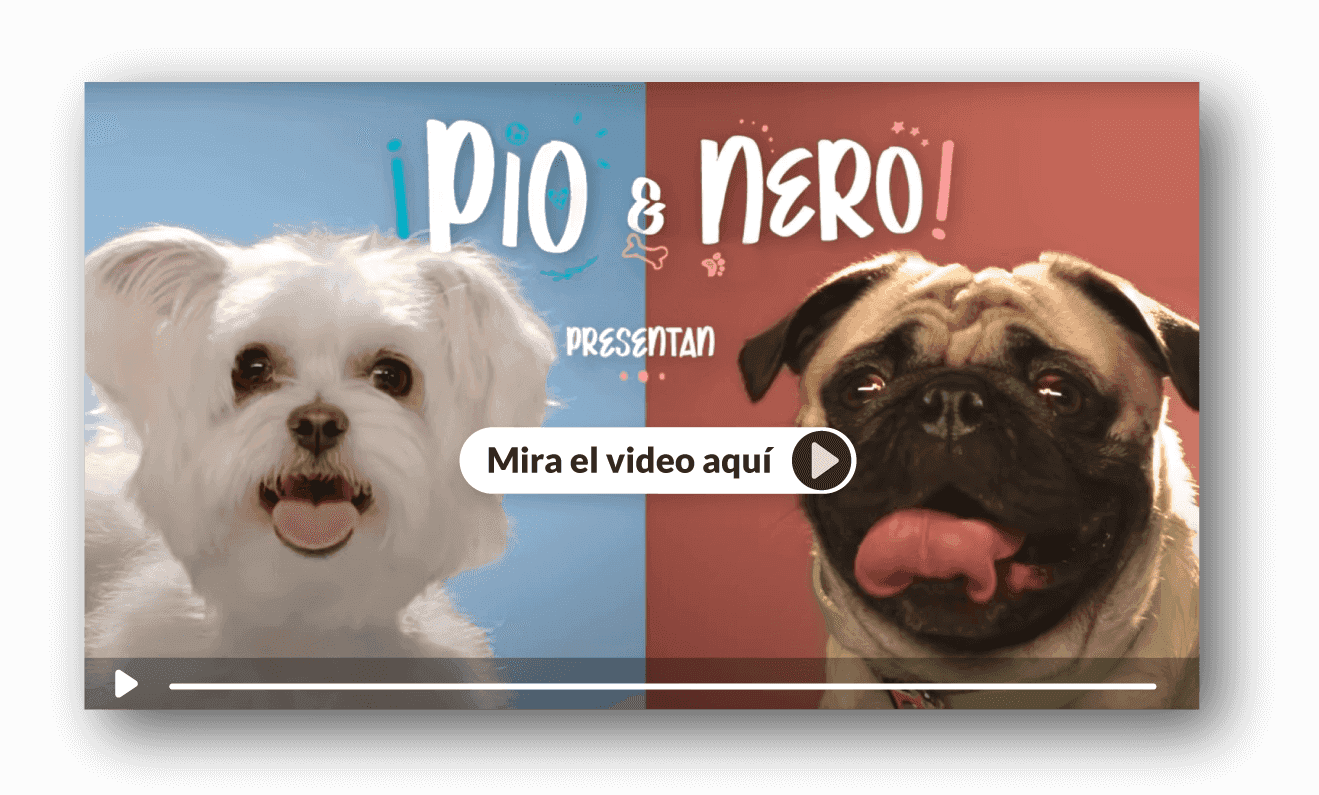 Video-PIO_NERO